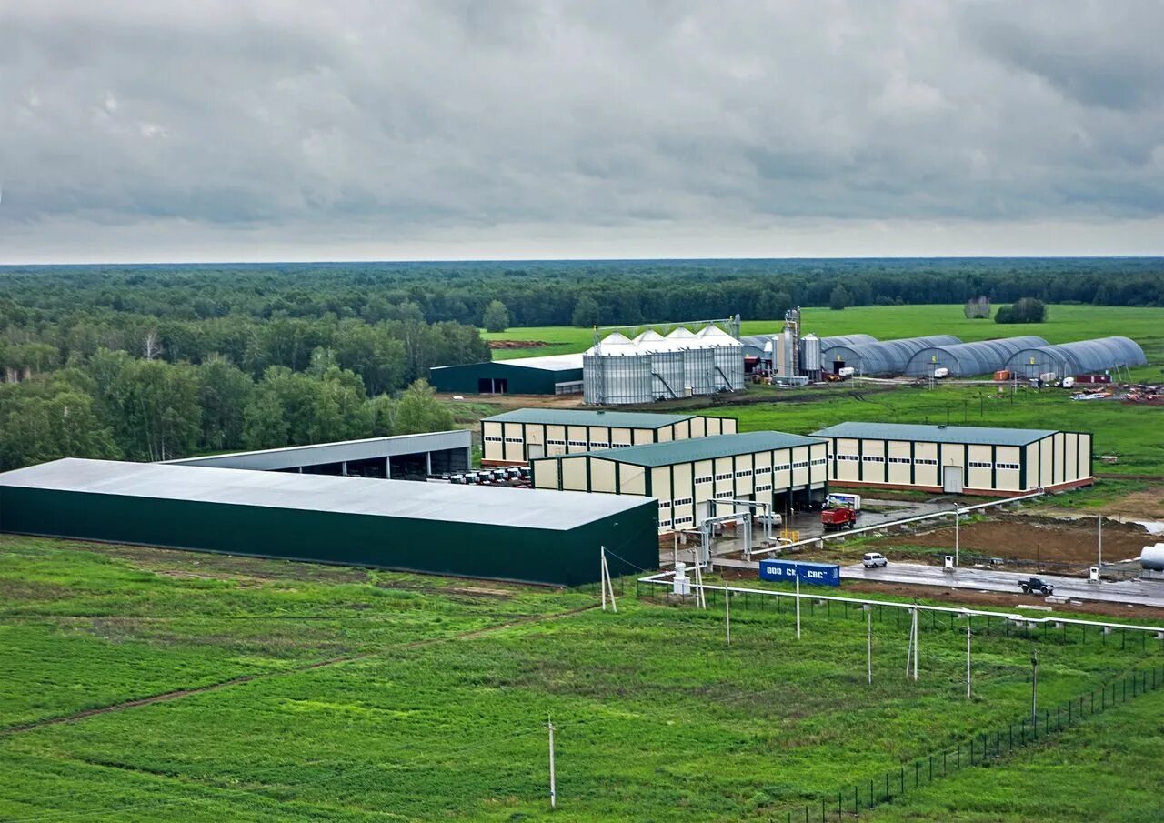 Погода село маршанское. Русское поле Каргатский район. Русское поле Маршанка. ООО КФХ русское поле Новосибирская область Каргатский район. Моршанское КФХ русское поле.