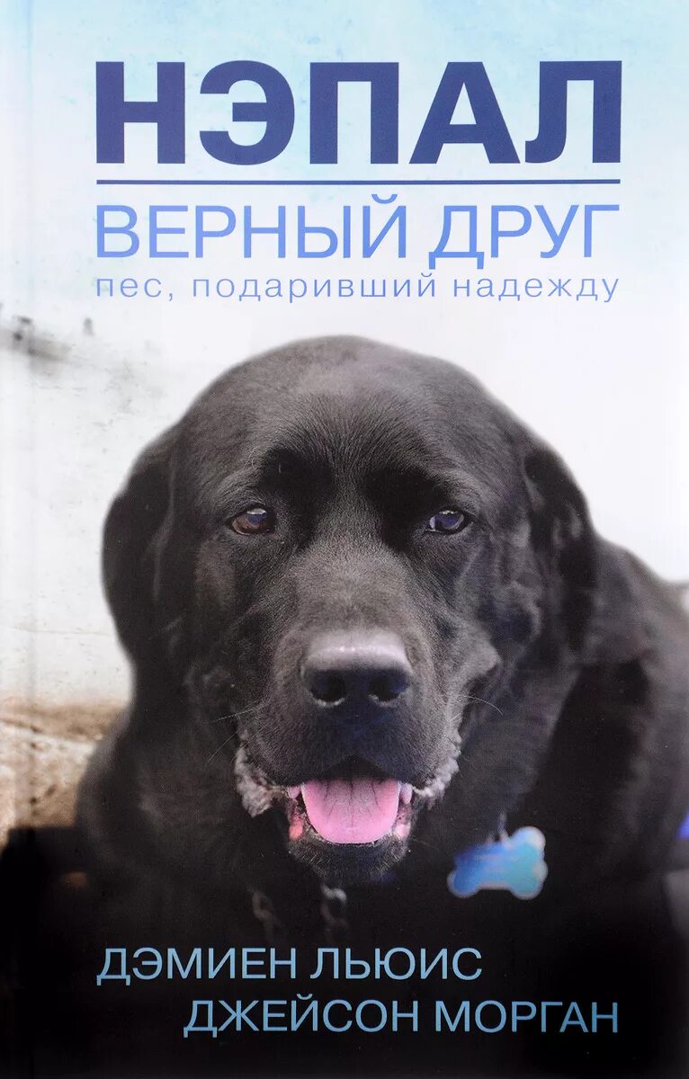 Книги про друзей для детей. Автор книги верный друг. Детские книги про собак. Книга верный друг. Автор книги верный друг.