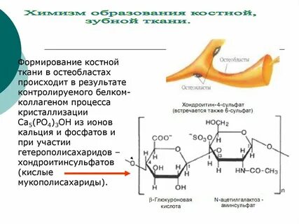 Ионный кальций