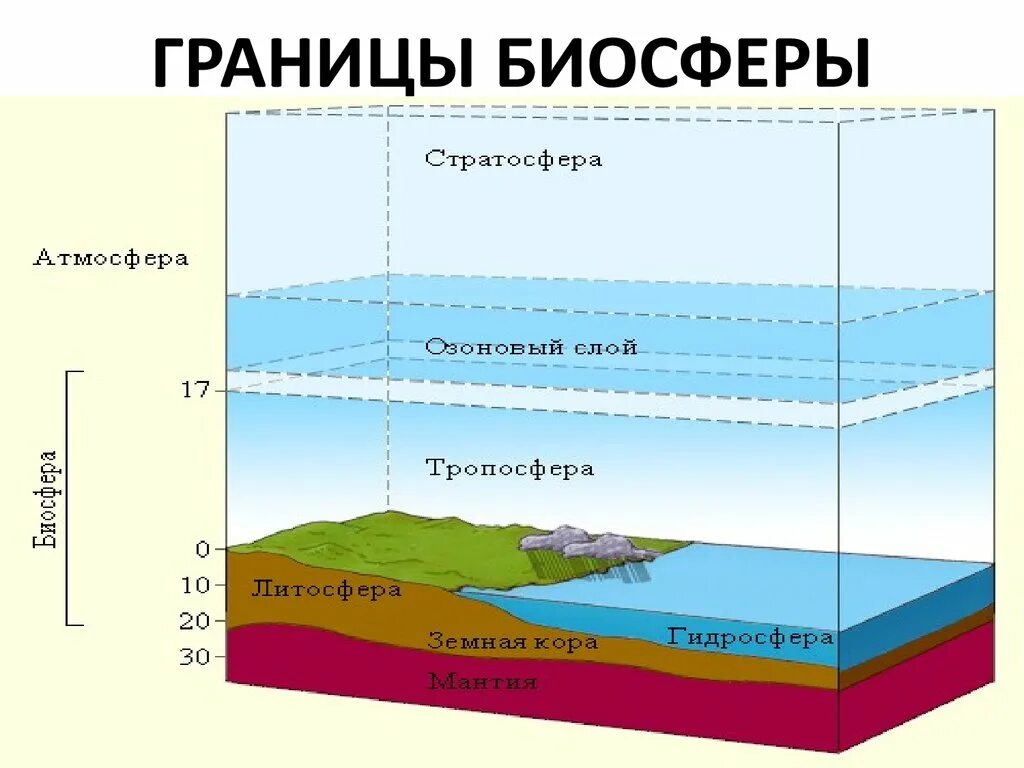 В литосфере существует жизнь. Оболочки земли Биосфера, атмосфера. Оболочки земли литосфера гидросфера атмосфера Биосфера. Границы биосферы схема 11 класс. Нарисовать схему границы биосферы.