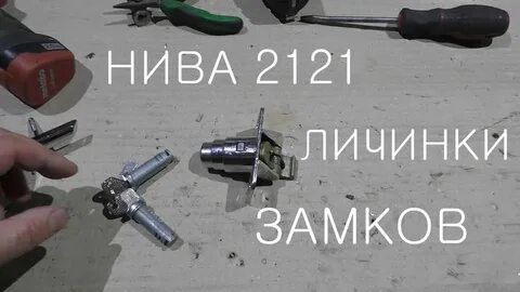 Нива замена личинки
