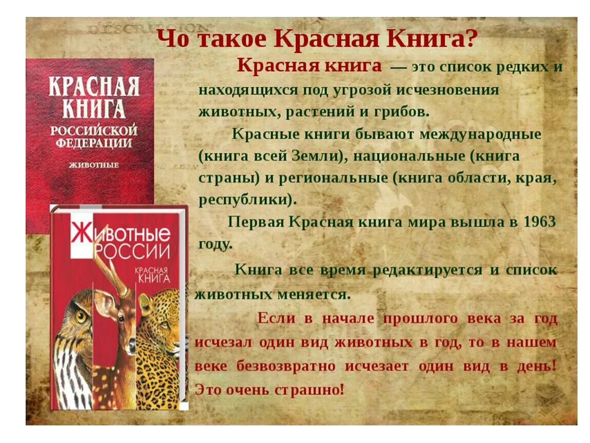 Красная книга России доклад. Сообщение о красной книге. Какие бывают красные книги. Доклад о красной книге.