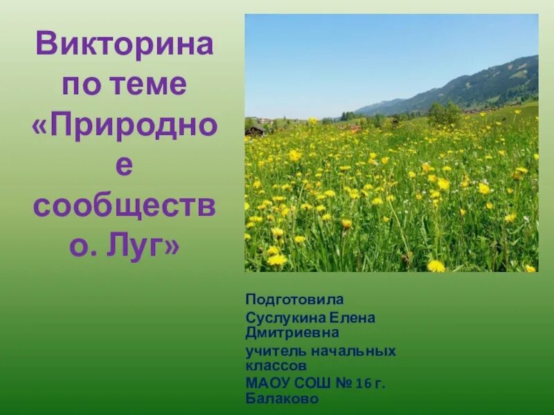 Луг природное сообщество 3 класс презентация. Природное сообщество луг. Природное сообщество луг презентация.