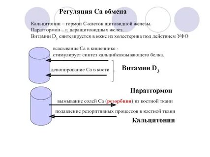 Паратгормон витамин