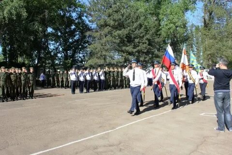 Зерноград 12628