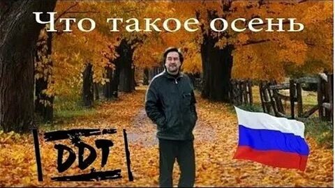 Дтт осень