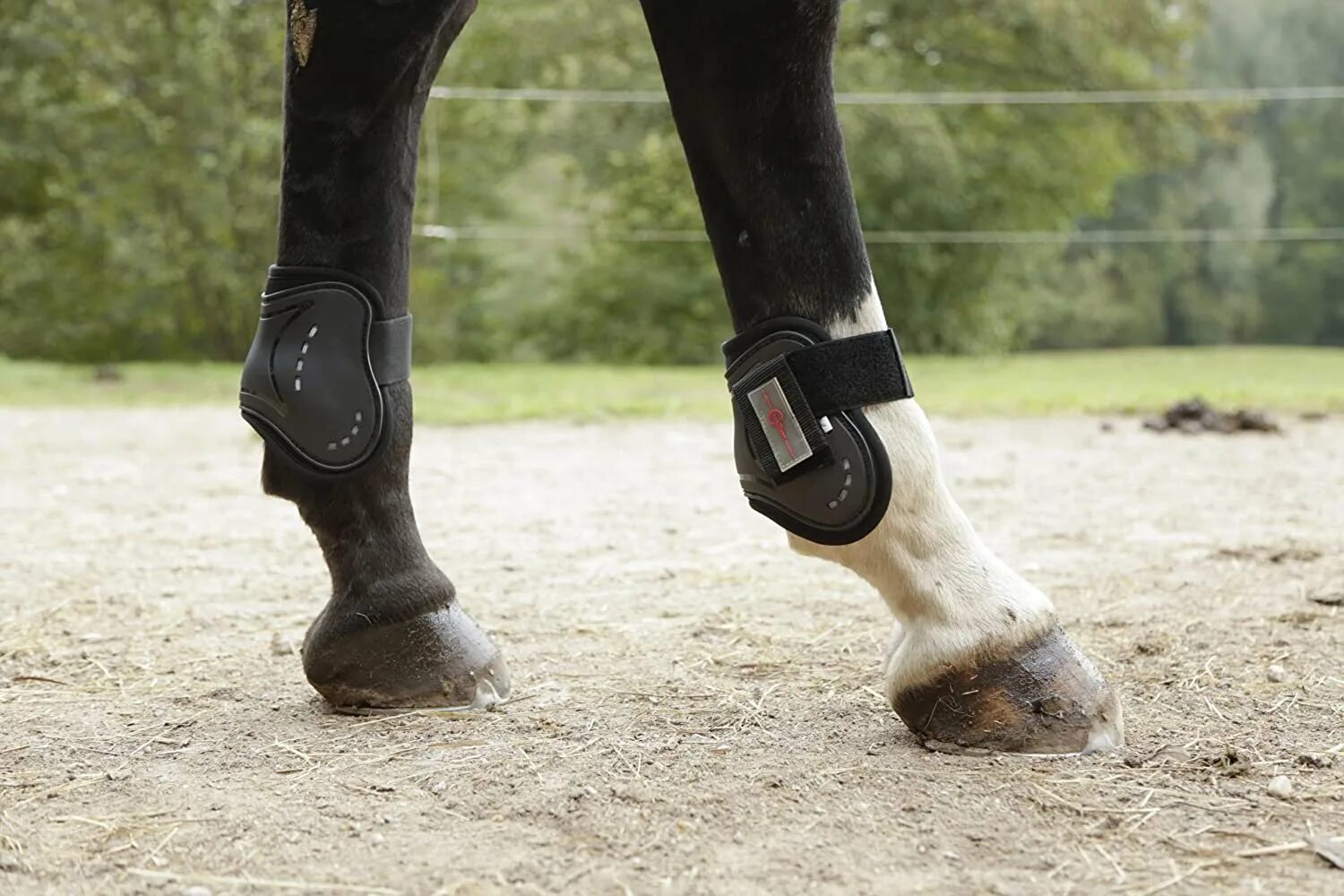 Ногавки выездковые harry’s horse. Ногавки qhp. Кожаные гетры для ног лошади. Ногавки лосдау. Денниковые ногавки для лошади.