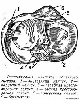 Мениск коленного сустава последствия