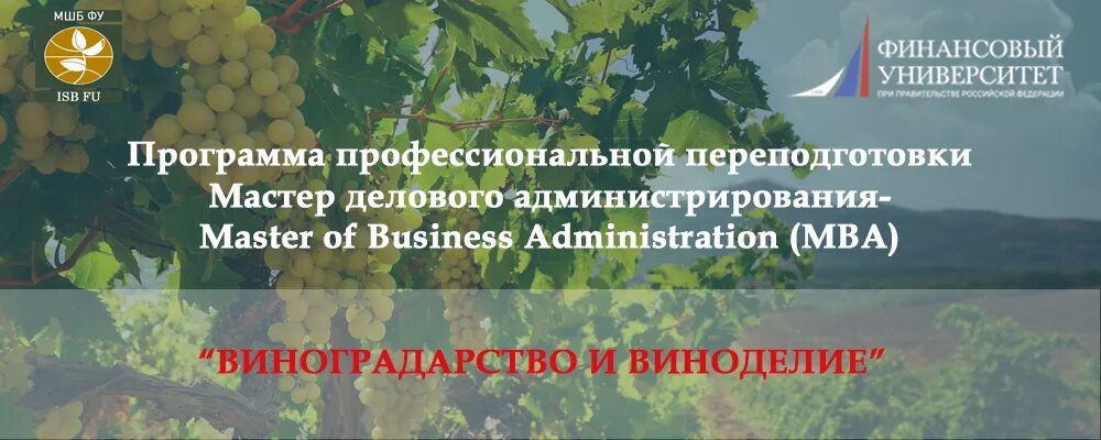 выращивание винограда и производство вина термин. виноградники саперави кахетия. выращивание винограда и производство вина термин. красное вино виноградное крымское. эльбузд винодельческое хозяйство.