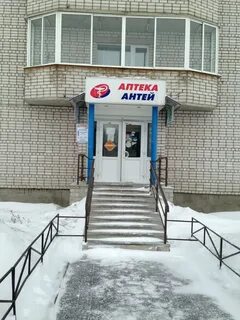Антей вологда