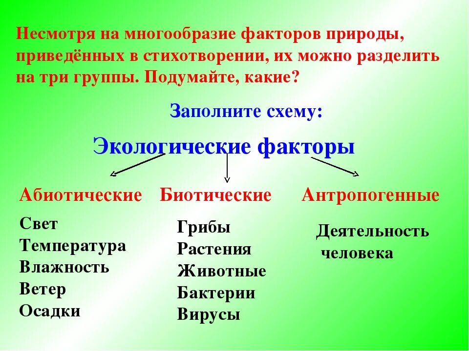 Несмотря на разнообразие