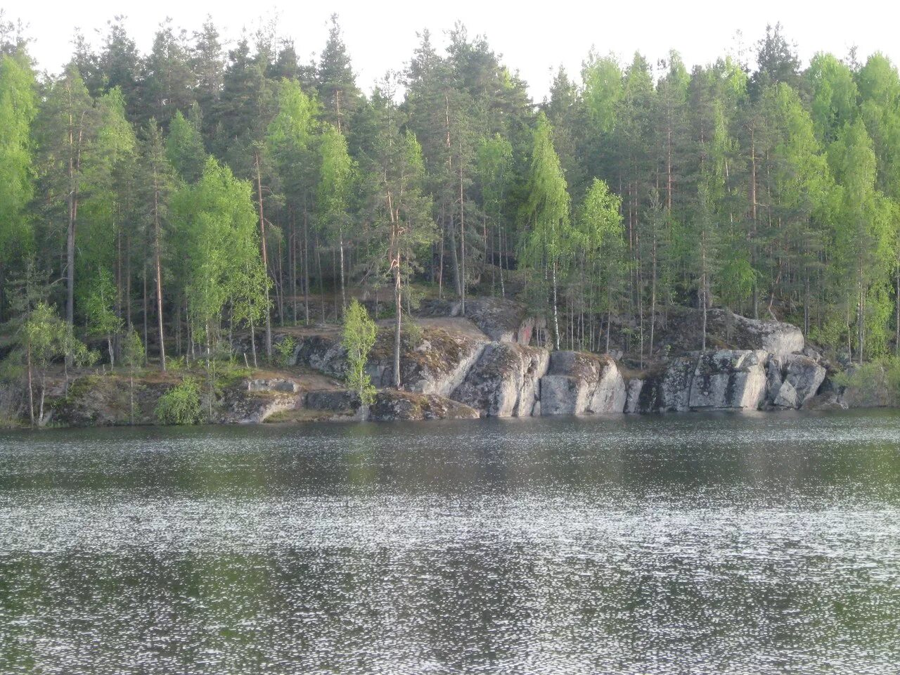 Отзыв о Отдых в поселке Кузнечное (Россия, Ленинградская область) Если звезды за