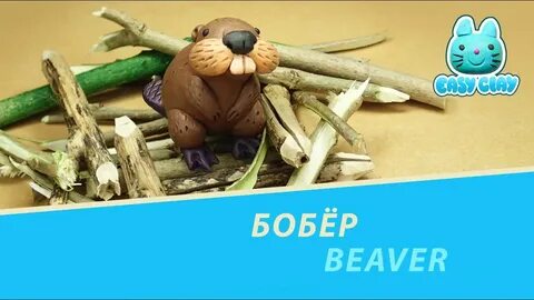 Бобер технология 2 класс видео