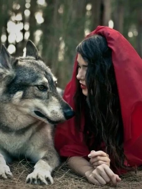 Волчья судьба песни. Судьба волка. Желание волка. Желание волка 2. Волк обнимает девушку фото.
