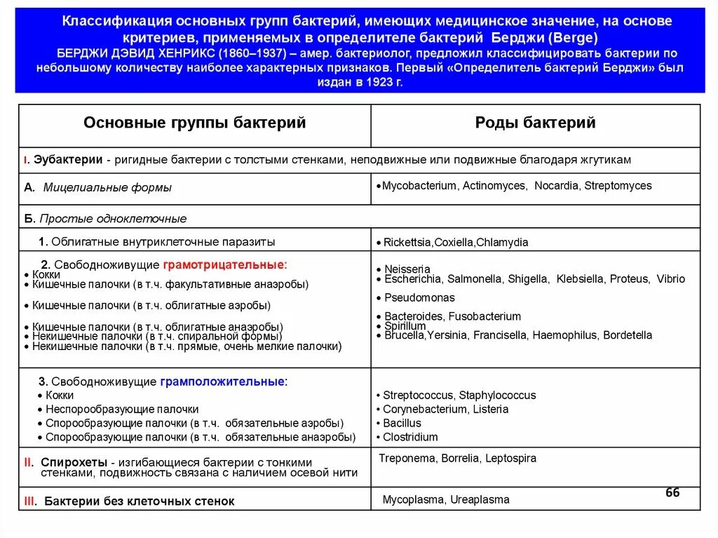 Примеры групп бактерий. Основные группы бактерий. Таблица основные группы микроорганизмов. Классификация групп бактерий. Основные таксономические группы микроорганизмов.