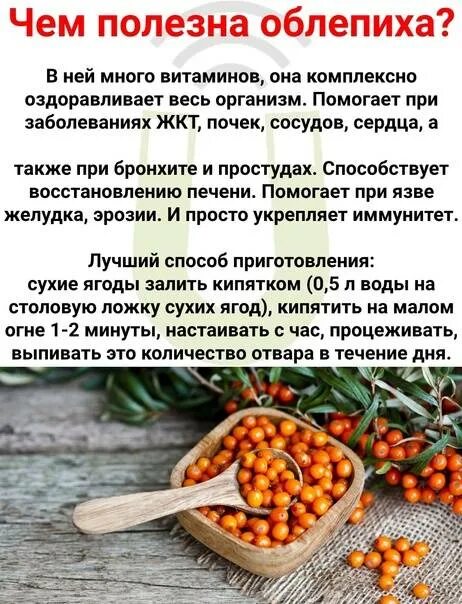 Чем полезна облепиха. Лекарственные свойства облепихи. Облепиха богата витамином. Облепиха витамины. Чем полезна облепиха для организма.