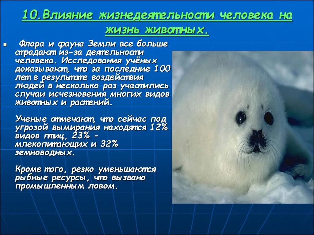 Какое влияние человека на животных. Влияние природы на животных. влияние человека на животных. влияние человека и природы на животных. влияние жизнедеятельности человека на жизнь животных.