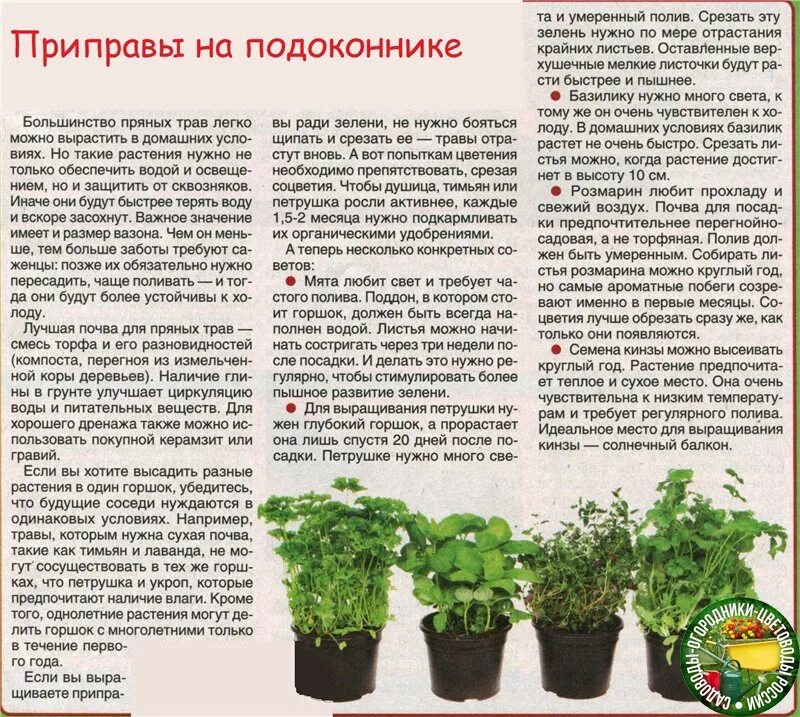 Что надо сделать чтобы посадить