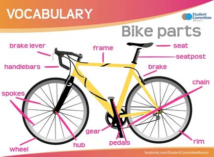 Bicycle перевод на русский с транскрипцией