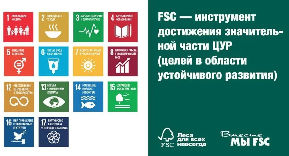 Цели оон 2015. 17 Принципов устойчивого развития ООН. Цели устойчивого развития ООН. Цели ООН В области устойчивого развития до 2030 года. Цели в области устойчивого развития (ЦУР).