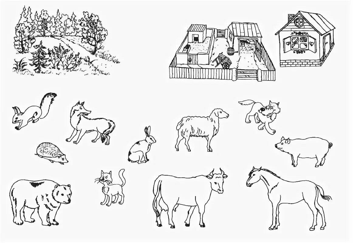 Домашние животныехадания. Животные задания для дошкольников. Задания на тему домашние животные для дошкольников. Домашние животные задания. Жилища домашних животных задания для дошкольников.