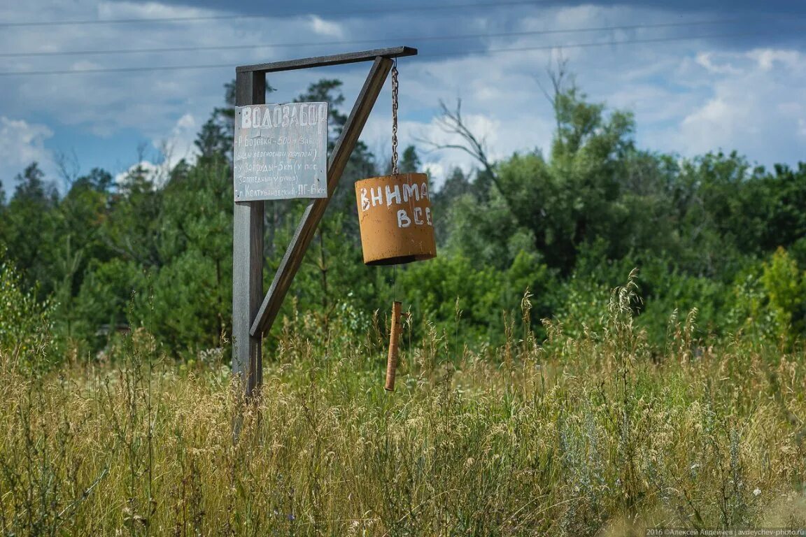 Бузулукский бор национальный парк на карте. Бузулукский бор сосна. Бузулукский бор как добраться. Карта национального парка бузулукский бор. Бузулукский бор как добраться.