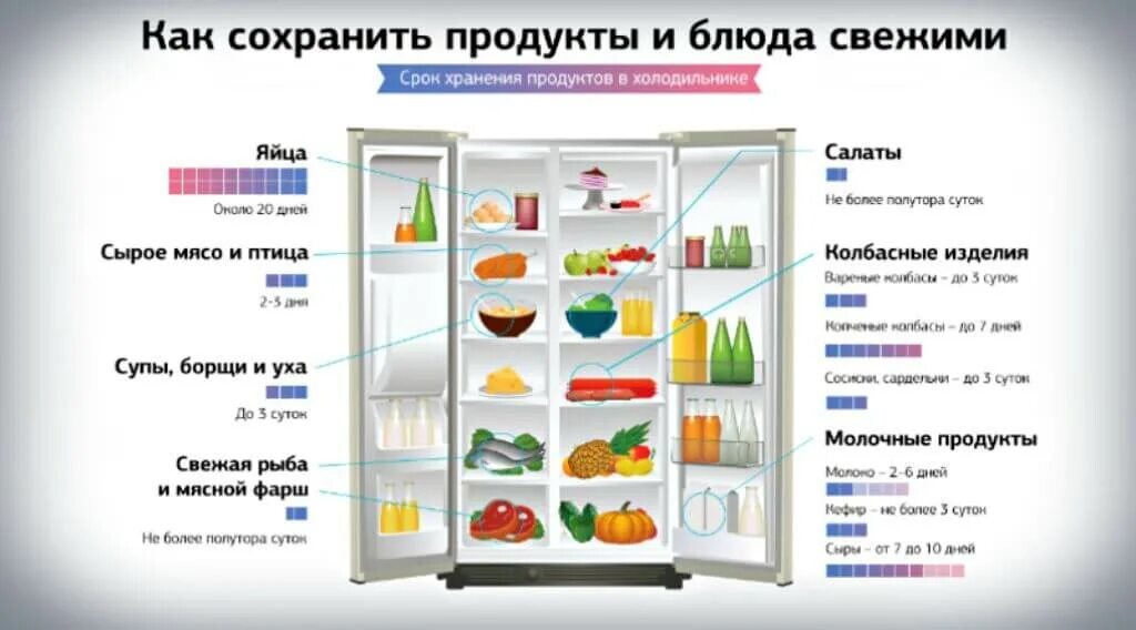 Хранение продуктов жизнедеятельности растительной. Холодильная камера температурный режим. Температура в морозильной камере бытового холодильника. Сколько должна быть температура в холодильнике. Сколько должна быть температура в морозильной камере в холодильнике.