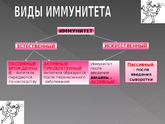 При введении вакцины формируется. Иммунитет после вакцинации формируется. Иммунитет после введения вакцины. Пассивный искусственный иммунитет формируется после. Искусственный пассивный иммунитет формируется после введения.