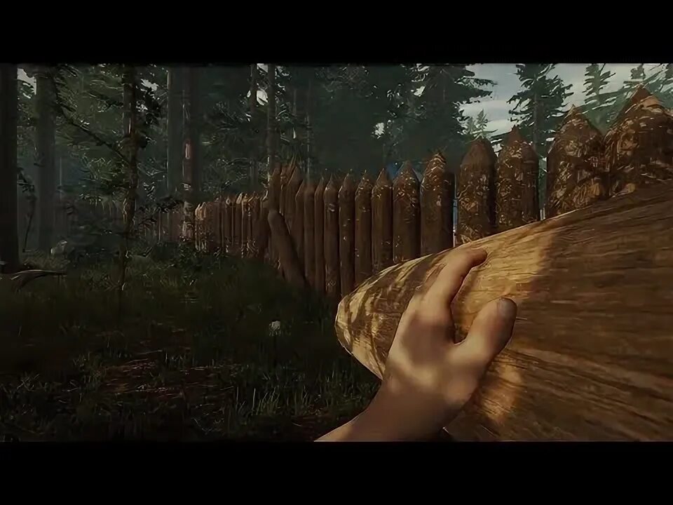 Человек идет в лес. Фото скина бигфута гта 5. Человек в хвойном лесу. Человек в еловом лесу. Пещера 3 the forest.