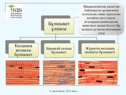Готикалық және BDSM фотосуреттері