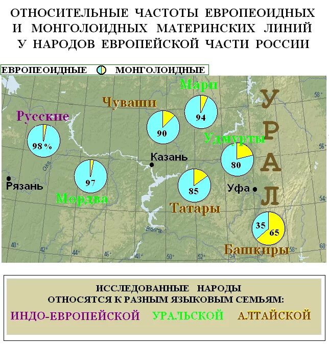 Гаплогруппы татар и чувашей. Гаплогруппа татар. Туркмены гаплогруппа q. Днк татар и чувашей. Днк гаплогруппы киргизов.