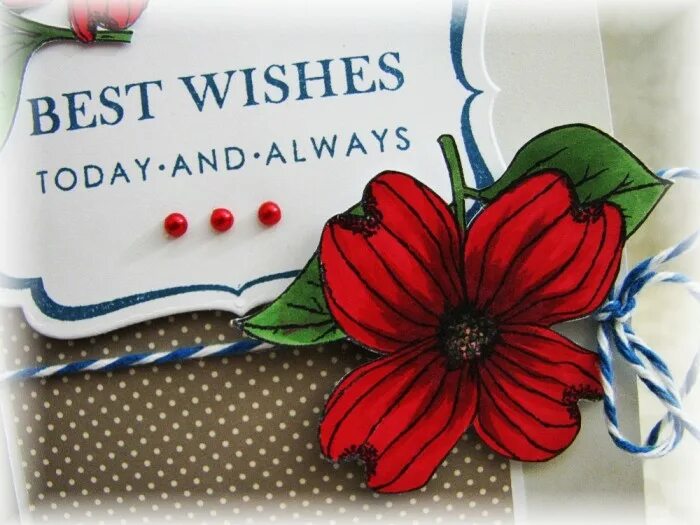 With best wishes надпись.