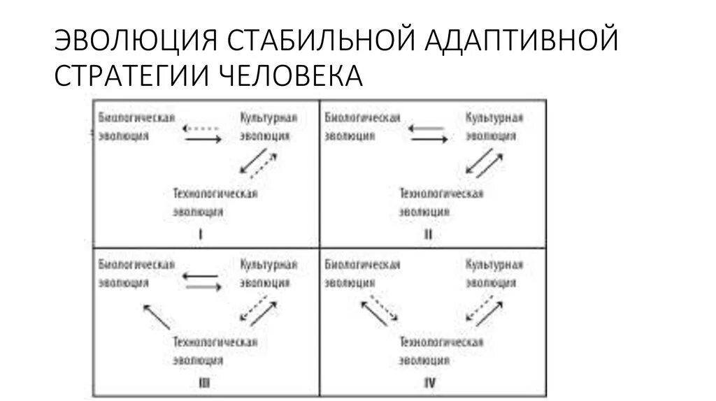 Эволюционно стабильная стратегия. Адаптационные стратегии личности. Эволюционные стратегии стратегия. Стратегии адаптивного поведения.