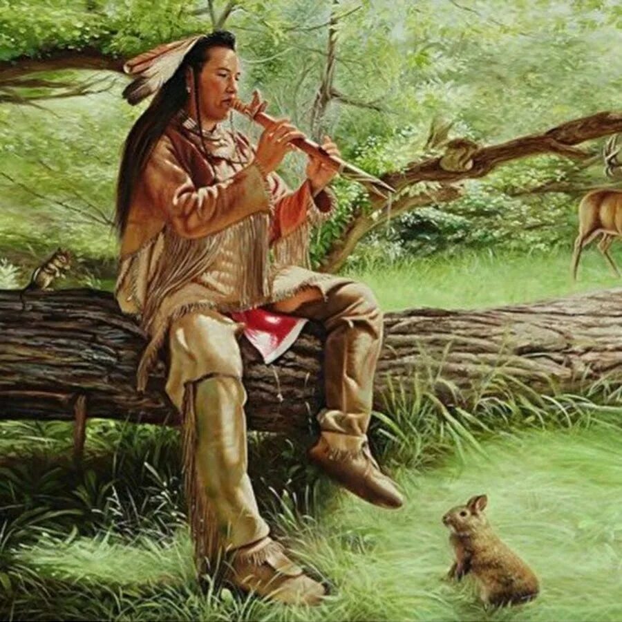 Индейская флейта пимак. Флейта североамериканских индейцев. Индейцы на охоте. Индейцы природа. Индеец музыкант