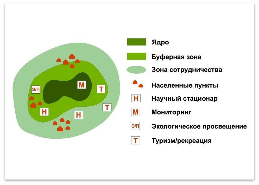 Буферная зона что это в войне. Зоны биосферного резервата. Зоны биосферного заповедника. Ядро и буферная зона заповедника. Структура биосферного заповедника.