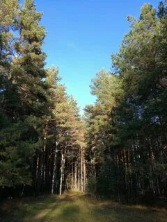 Подгородка омск