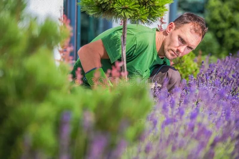 He is working in the garden