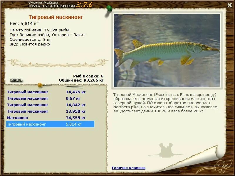 Русская рыбалка Installsoft Edition. Щука-маскинонг. Русская рыбалка 4 щука. Щука-маскинонг,вес. Русская рыбалка 3 щука