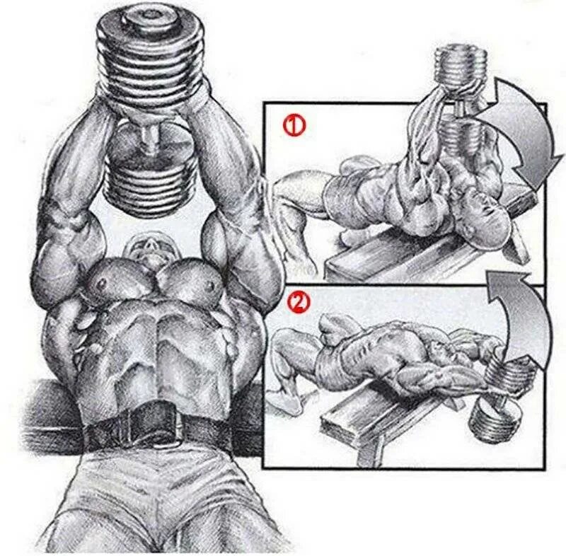 Упражнения для накачивания грудных мышц. Упражнения для прокачки грудных мышц. Упражнения для накачивания грудных мышц для мужчин с гантелями. Прокачка грудных мышц гантелями.