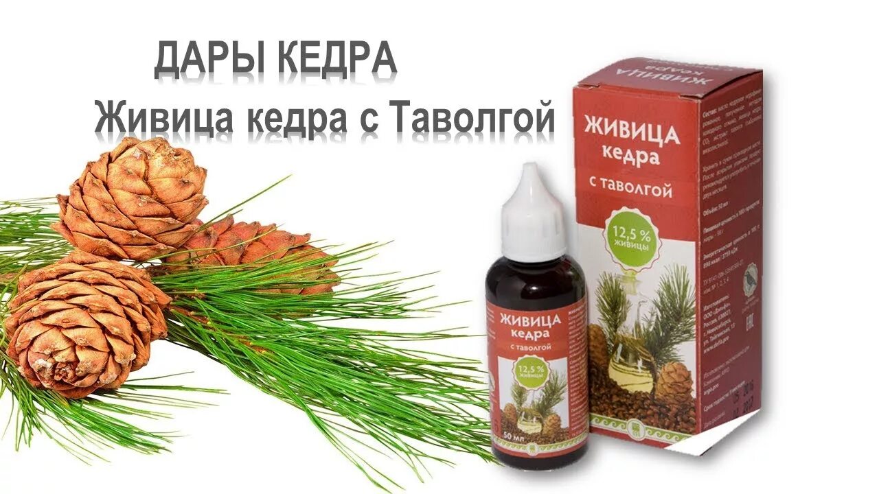 Живица производитель. Живица с таволгой арго. кедровая живица арго. живица кедровая с таволгой и. арго кедровые капли.
