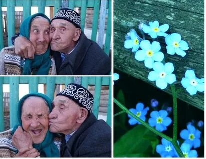 Будни деда