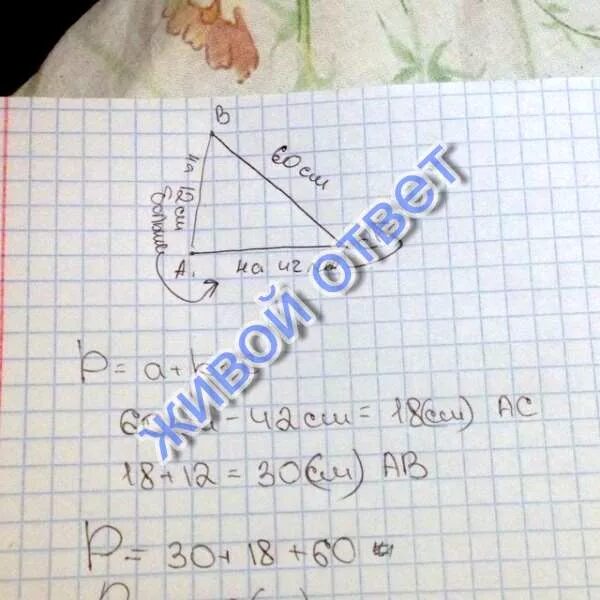 Длину стороны бц. Сторона ас вдвое больше стороны ав. ас=вс од=0,4 сд периметр авс 40 ав. abмаленькая /ab большую =длина ab маленькая/длину ab большую. в треугольнике авс ас меньше вс меньше ас.