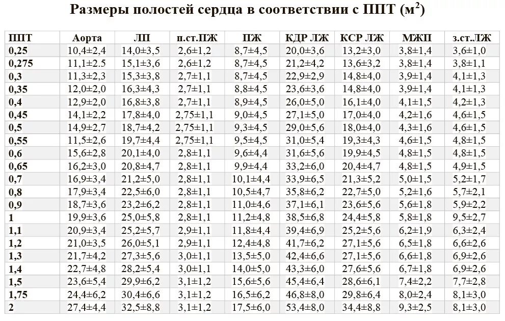 Нормы селезенки взрослого мужчины. Показатели по УЗИ сердца норма. Нормы УЗИ сердца таблица. УЗИ сердца ребенка нормы размеров. УЗИ Эхо кг нормальные показатели.