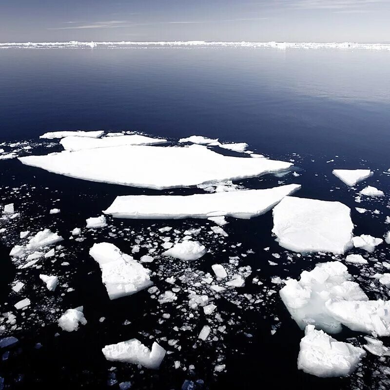 Океан покрытый льдом. Баренцево море льды. Лед на море. Морской лёд. Море покрытое льдом.