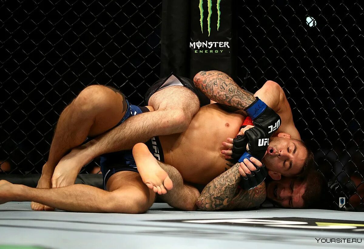 Мма хабиб нурмагомедов. Включи бои хабиба. Включи бои хабиба. Включи бои хабиба. Джастин гейджи хабиб в бою.