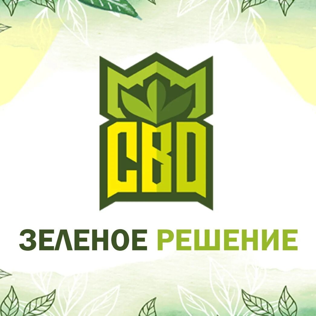 Зеленая решает