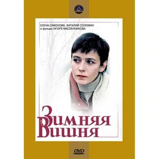 Зимняя вишня содержание