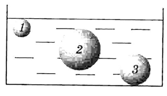 Три одинаковых по размеру шарика. Наименьшая Выталкивающая сила действующая на шарик. Три одинаковых по размеру шарика 1.2.3 погружены в жидкость. Три одинаковых по размеру шарика погружены. Три одинаковых шарика по размеру шарика погружены в жидкость.