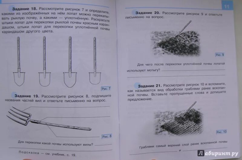 Тетрадь сельское хозяйство. Сельскохозяйственный труд рабочая тетрадь. Технология. Сельскохозяйственный труд. Сельскохозяйственный труд 6 класс задания. Задания для ОВЗ по технологии.