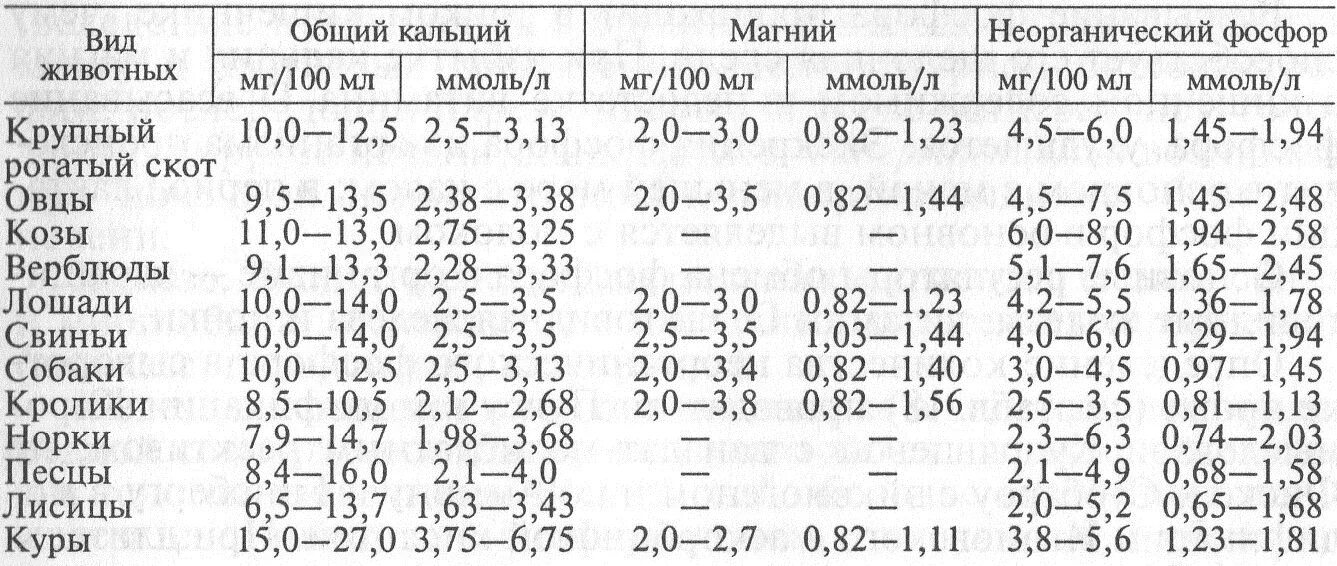 Кальций общий в крови норма у женщин. Уровень фосфора и кальция в крови в норме. Показатели нормы магния и кальция в крови. Показатели фосфора кальция в крови. Содержание кальция и фосфора в крови норма.